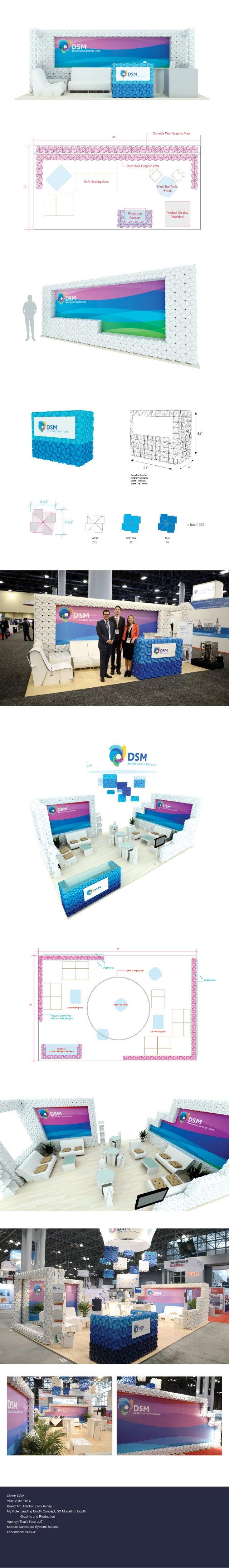 2017_CheeChoi_PF_DSM