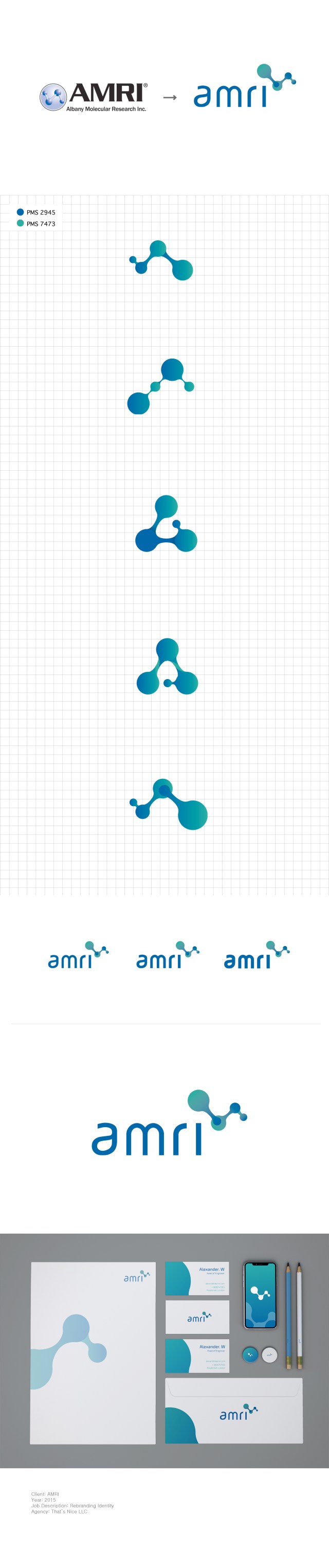 2017_cheechoi_portfolio_identity_AMRI